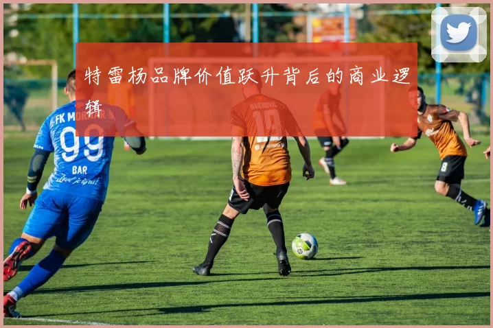 特雷杨品牌价值跃升背后的商业逻辑