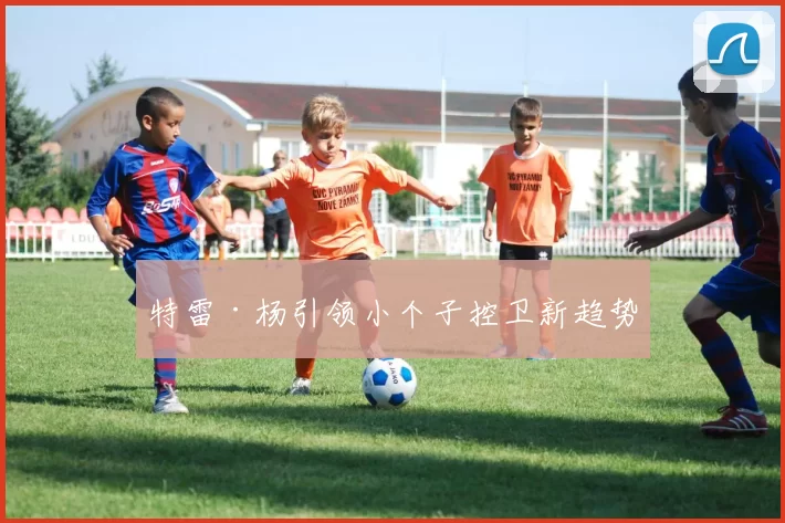 特雷·杨引领小个子控卫新趋势