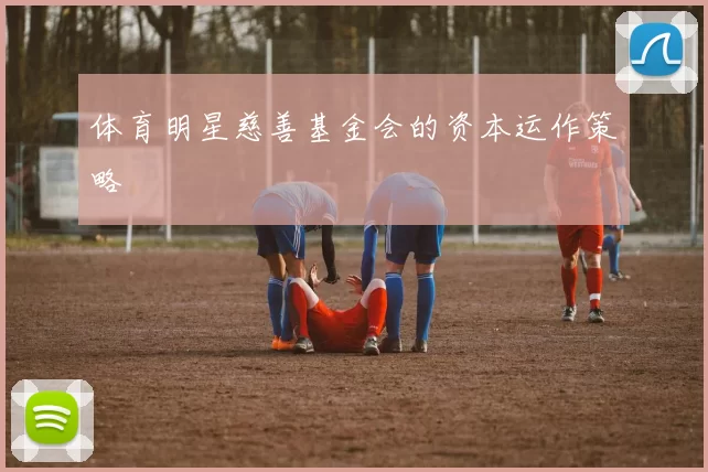 体育明星慈善基金会的资本运作策略